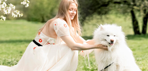 prix Samoyede
