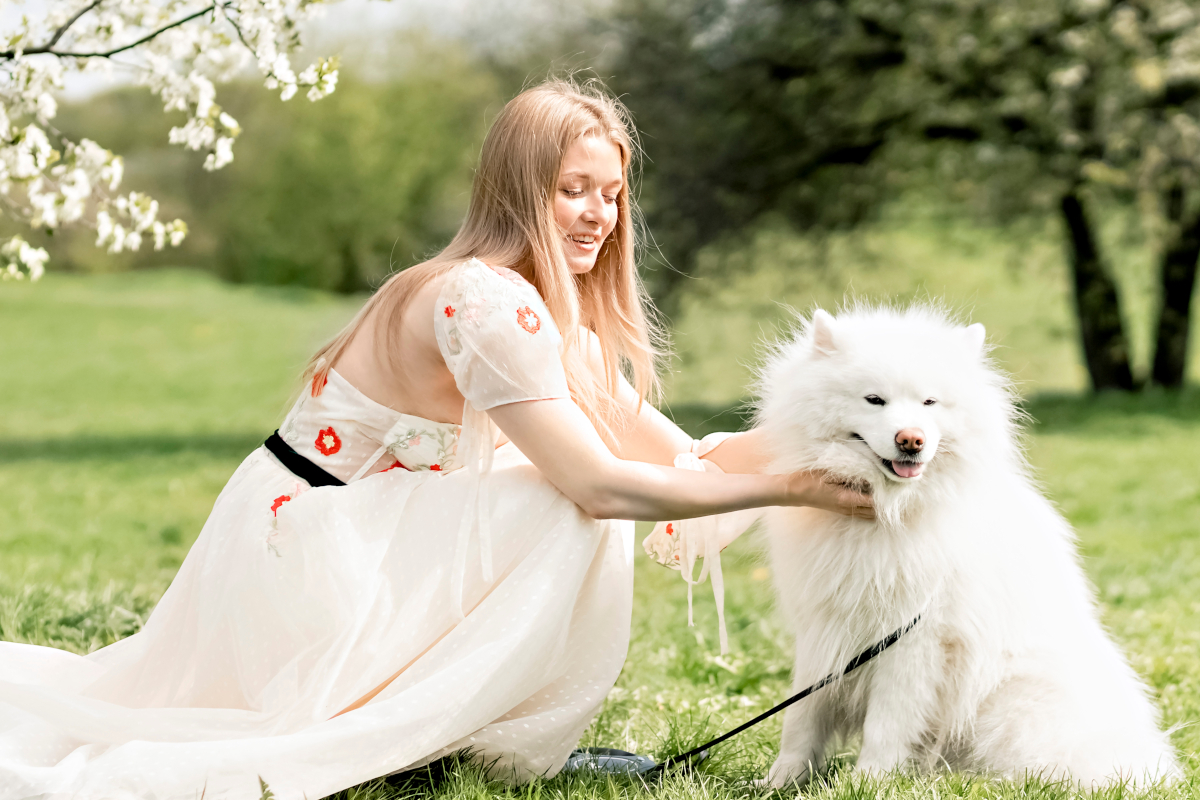prix Samoyede