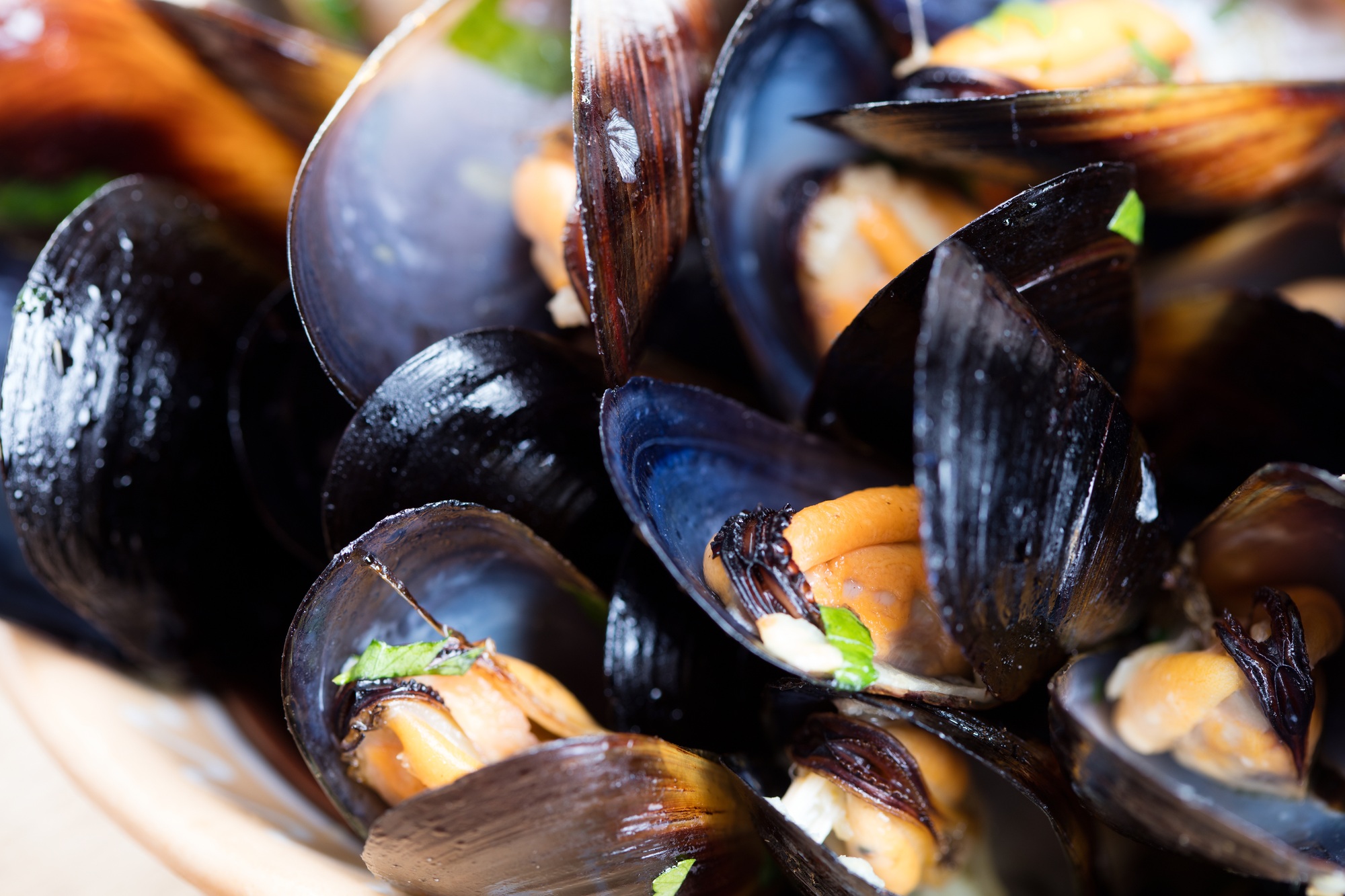 Steamed mussels