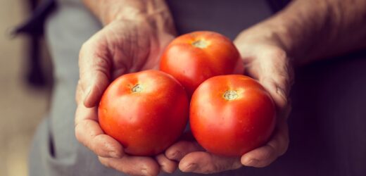 Organic tomatoes
