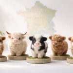 Comparaison des prix des vaches naines fluffy à travers le pays