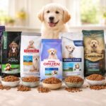 Top 10 des meilleures croquettes pour chiot : comparatif des meilleures marques