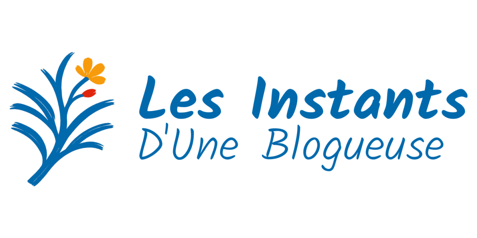 Les Instants D'Une Blogueuse